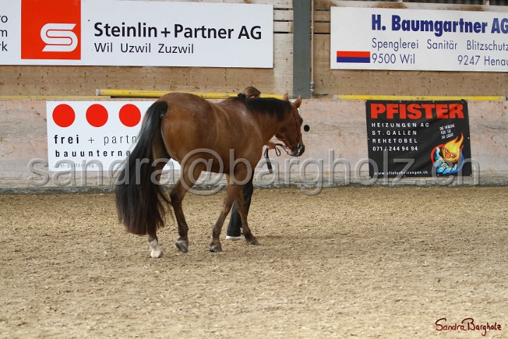 24-ApHC HIH_108.jpg